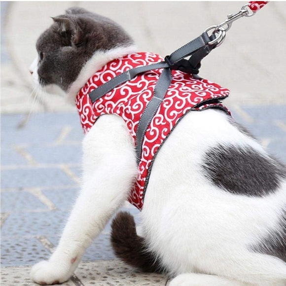 L2MY  Wear Resistant Anti-Rust Breathable Mesh Pet Vest and Matching Leash - Picture 2 of 9